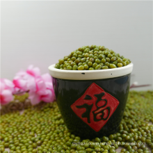 2017 New Corp Green Mung Bean moong dal for sale